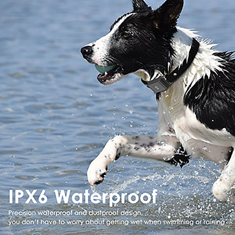 Pet Guardian GPS Tracker™