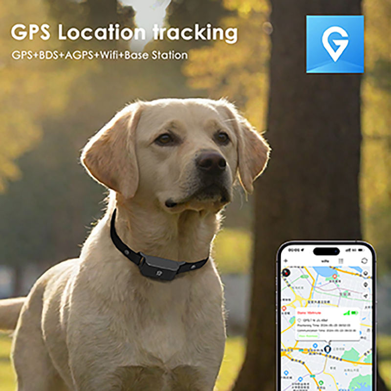 Pet Guardian GPS Tracker™